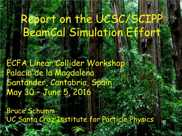 Report on the UCSC/SCIPP BeamCal Simulation Effort ECFA Linear Collider Workshop