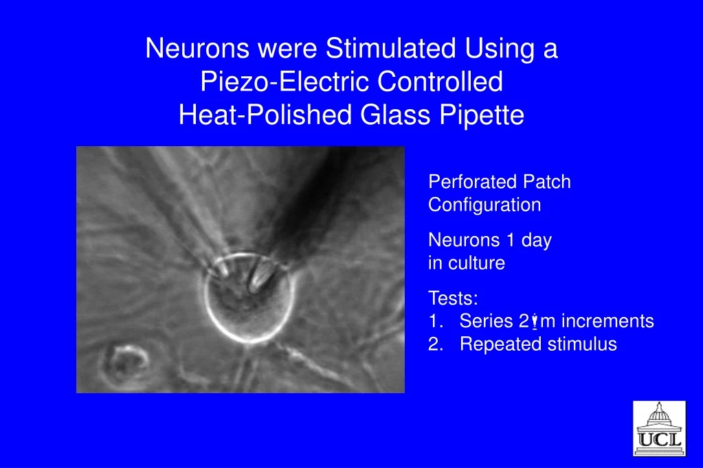neurons were stimulated using a piezo electric