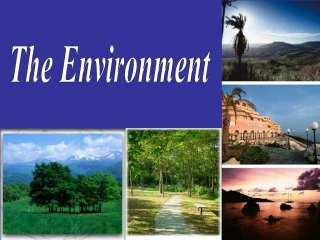 The Environment - slide 1