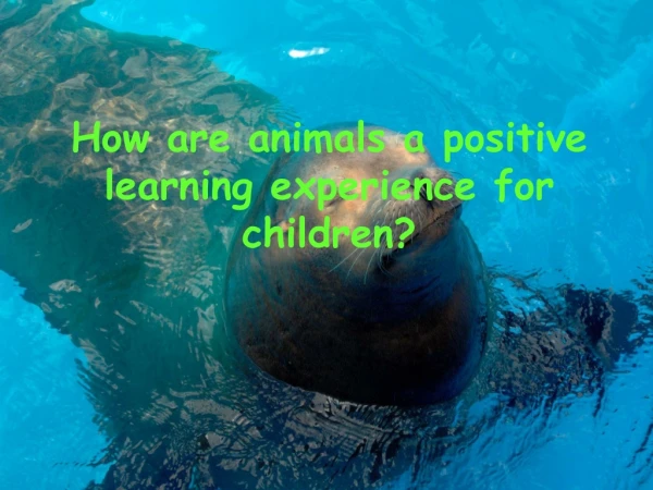 How are animals a positive learning experience for children?