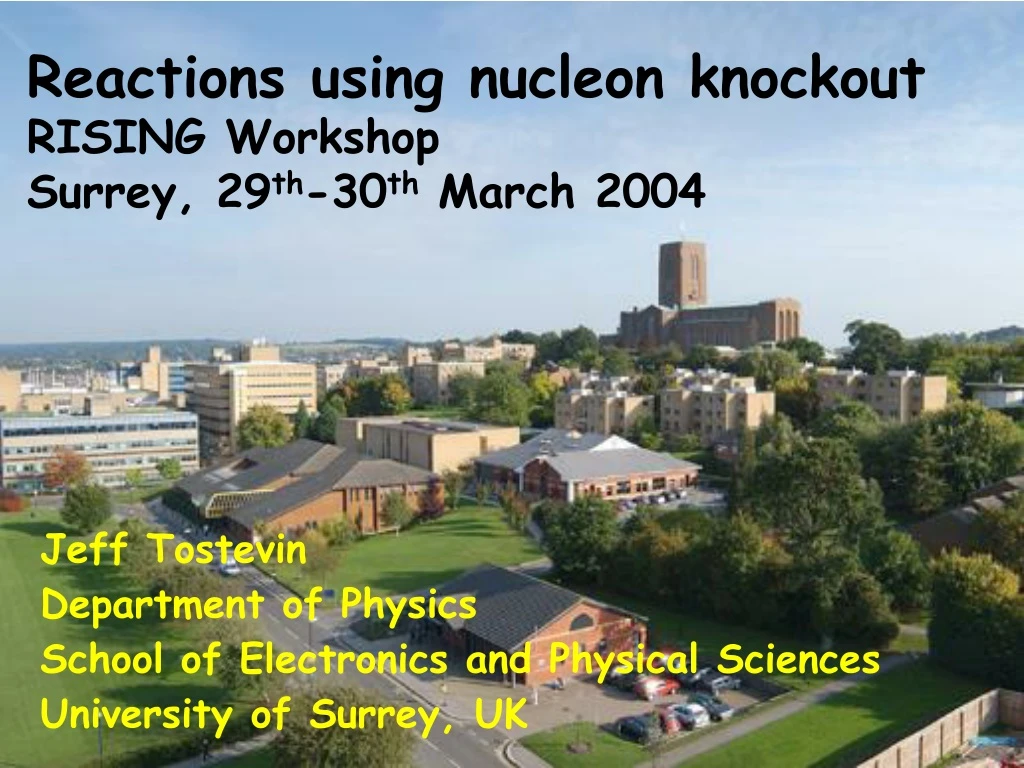 reactions using nucleon knockout rising workshop