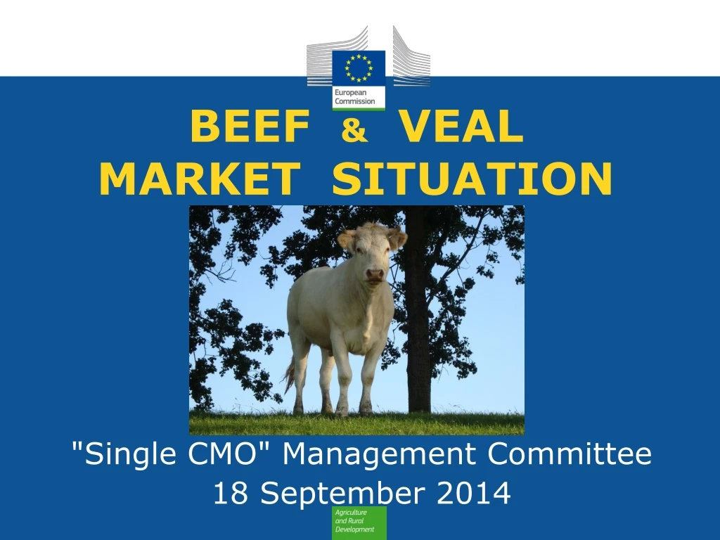 beef veal market situation