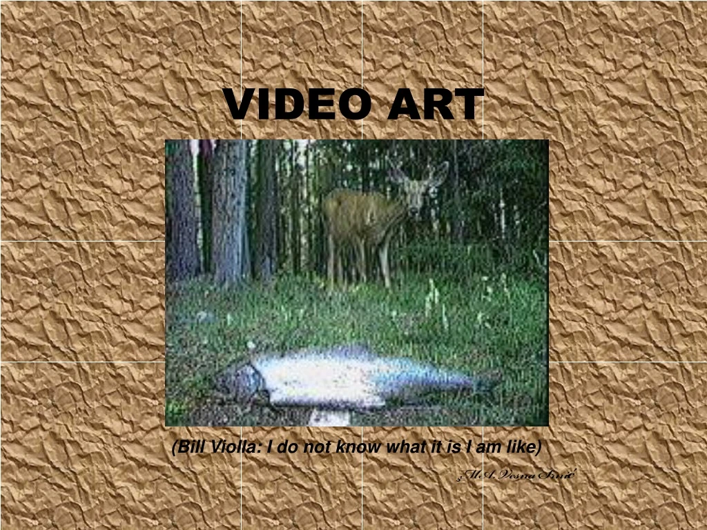 video art