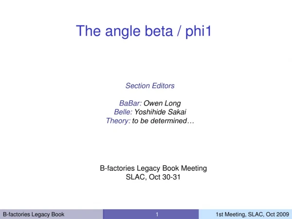 The angle beta / phi1