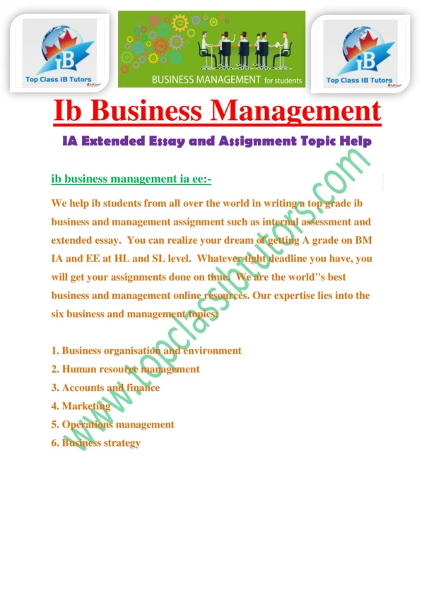Ib Business Management IA Example Sample Paper in Mumbai