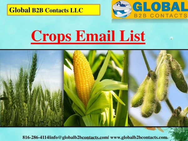 global b2b contacts llc