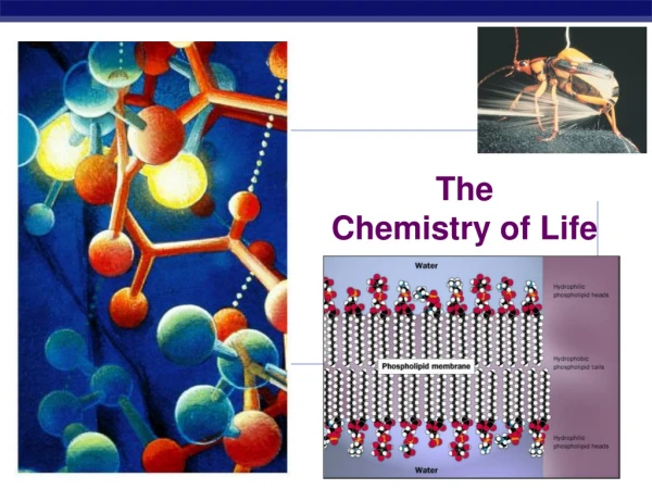 The Chemistry of Life