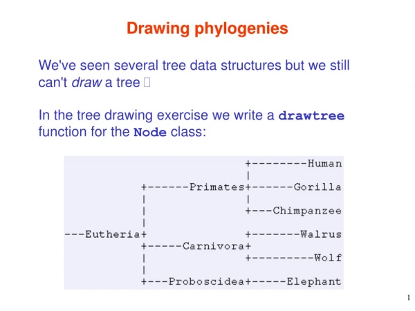 Drawing phylogenies