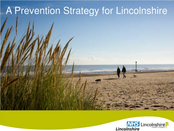 A Prevention Strategy for Lincolnshire