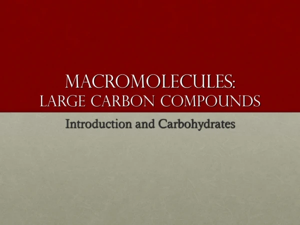Macromolecules: Large Carbon Compounds