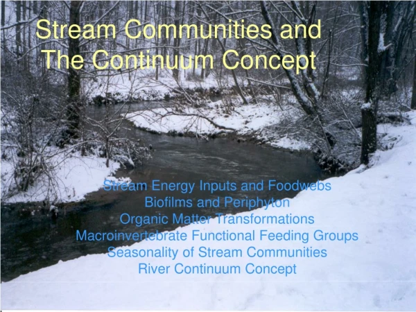Stream Communities and The Continuum Concept