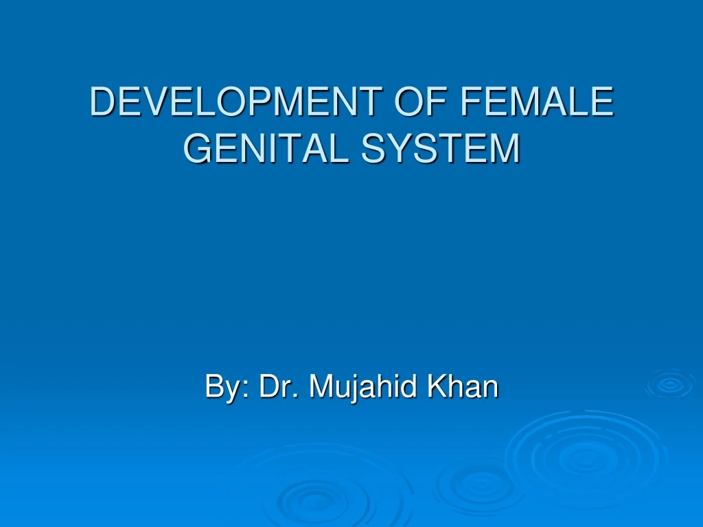 development of female genital system