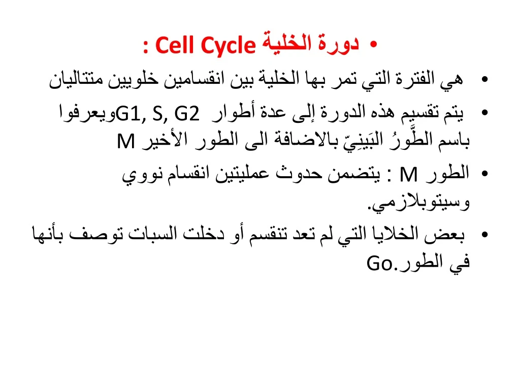 cell cycle g1 s g2 m m g