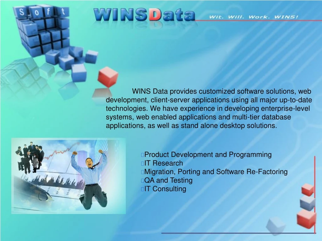 wins data provides customized software solutions