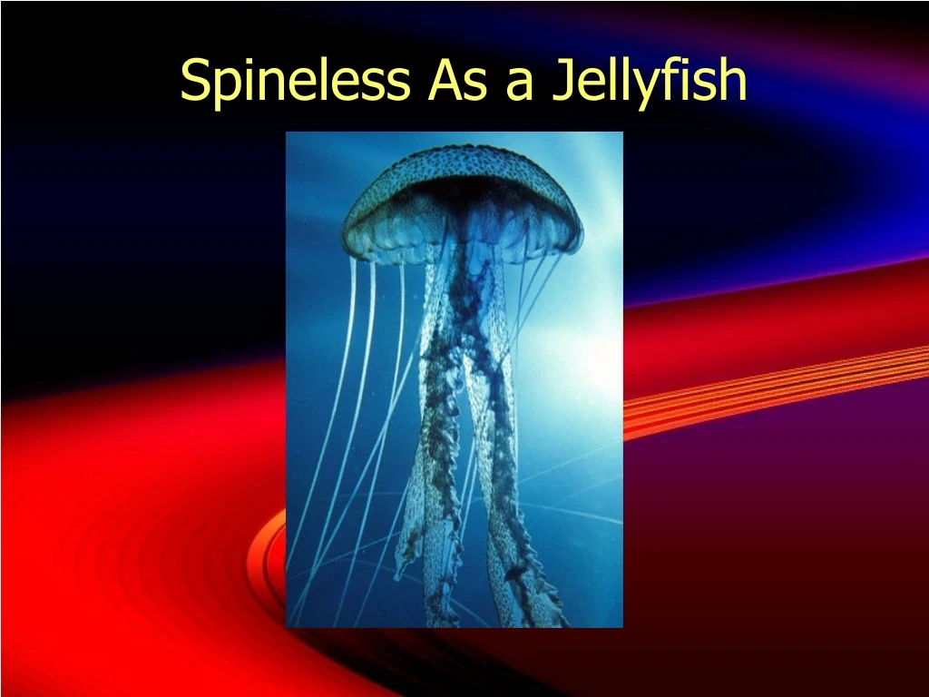 spineless as a jellyfish