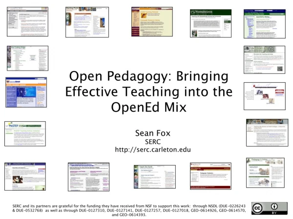 Open Pedagogy: Bringing Effective Teaching into the OpenEd Mix