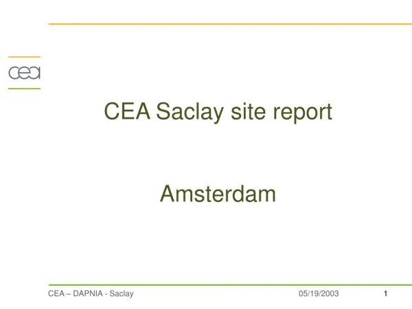 CEA Saclay site report Amsterdam