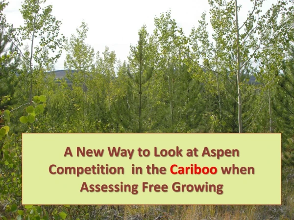 A New Way to Look at Aspen Competition in the Cariboo when Assessing Free Growing
