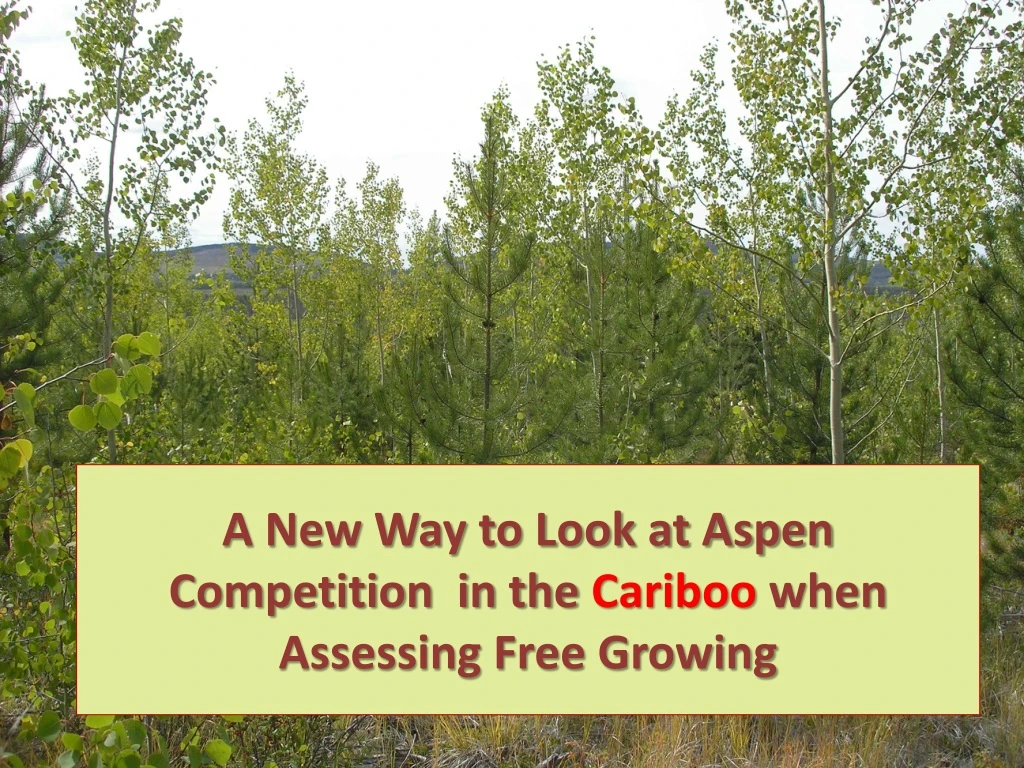 a new way to look at aspen competition