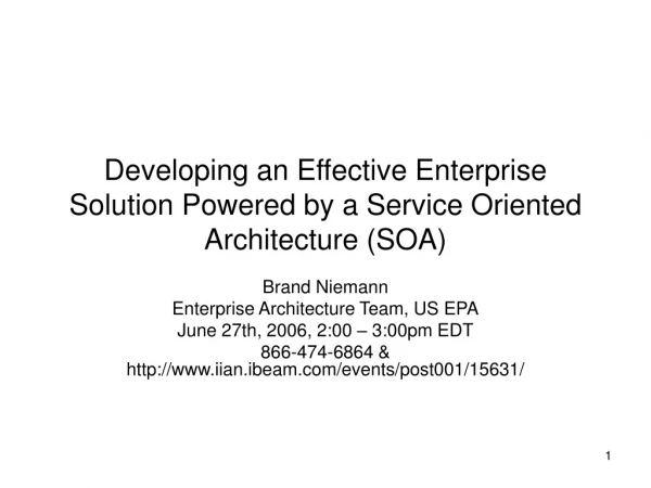 Developing an Effective Enterprise Solution Powered by a Service Oriented Architecture (SOA)