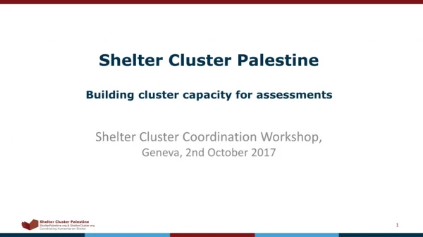 Shelter Cluster Palestine Building cluster capacity for assessments