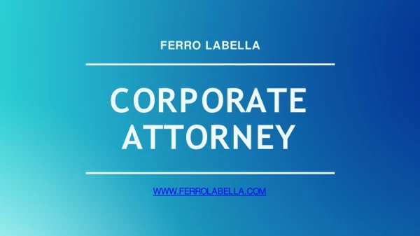 Information About Corporate Attorney