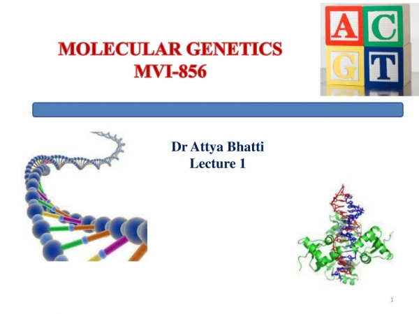 MOLECULAR GENETICS MVI-856