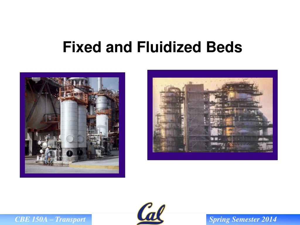 fixed and fluidized beds