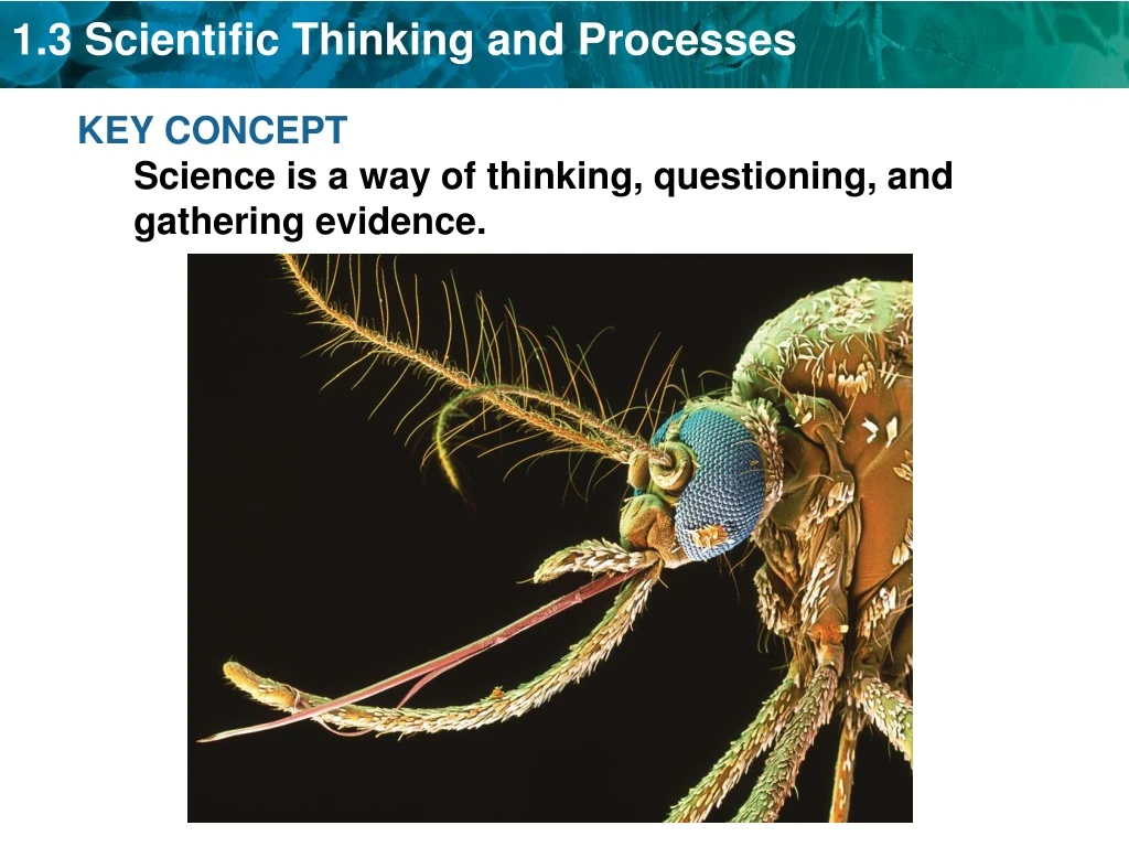 key concept science is a way of thinking