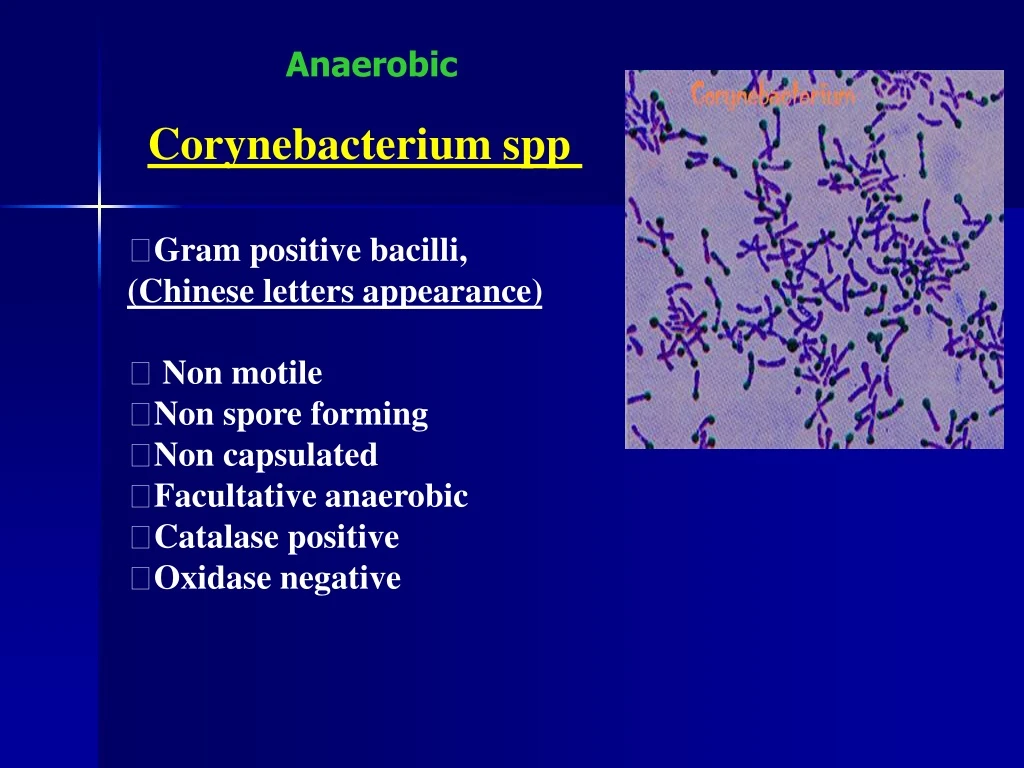 anaerobic