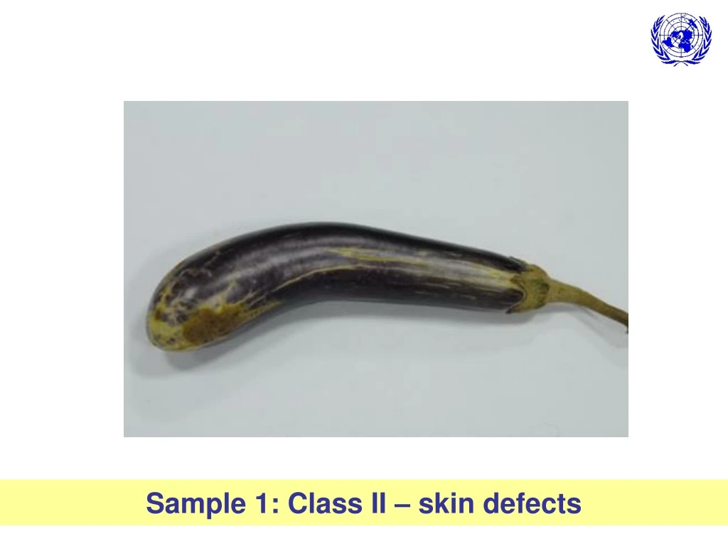 sample 1 class ii skin defects