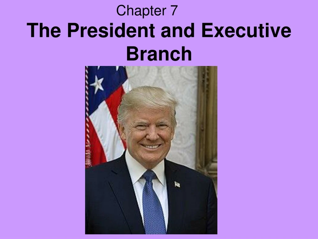 the president and executive branch