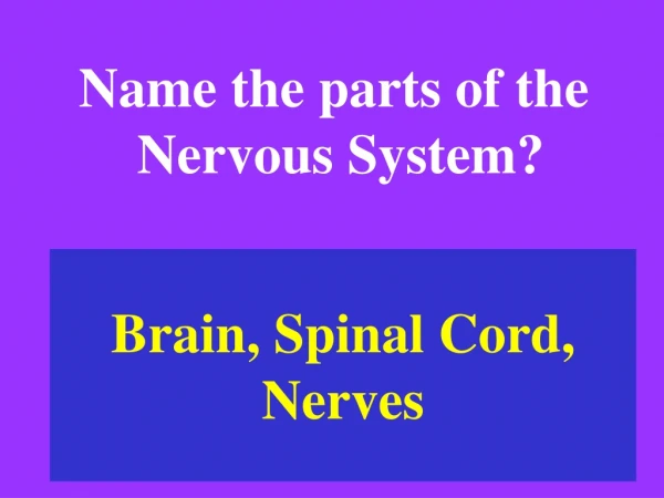 Brain, Spinal Cord, Nerves