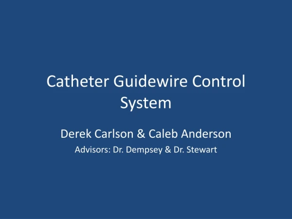 Catheter Guidewire Control System