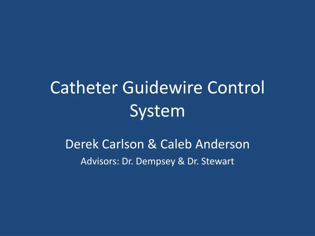 catheter guidewire control system