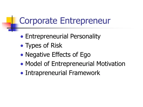 Corporate Entrepreneur