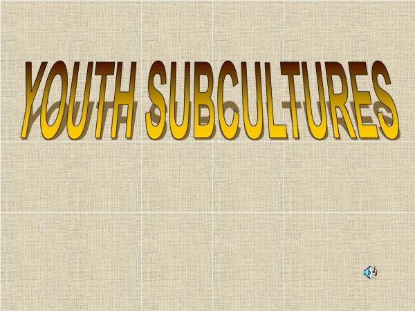 YOUTH SUBCULTURES