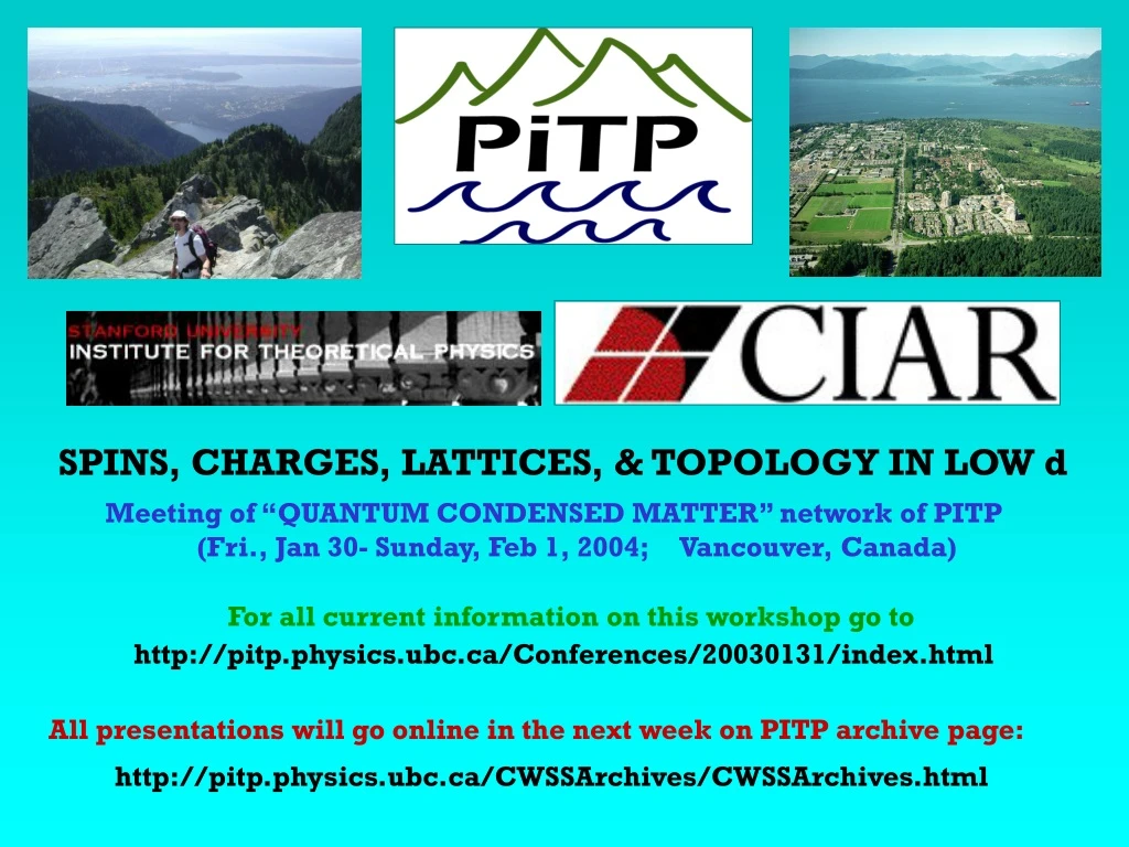 spins charges lattices topology in low d