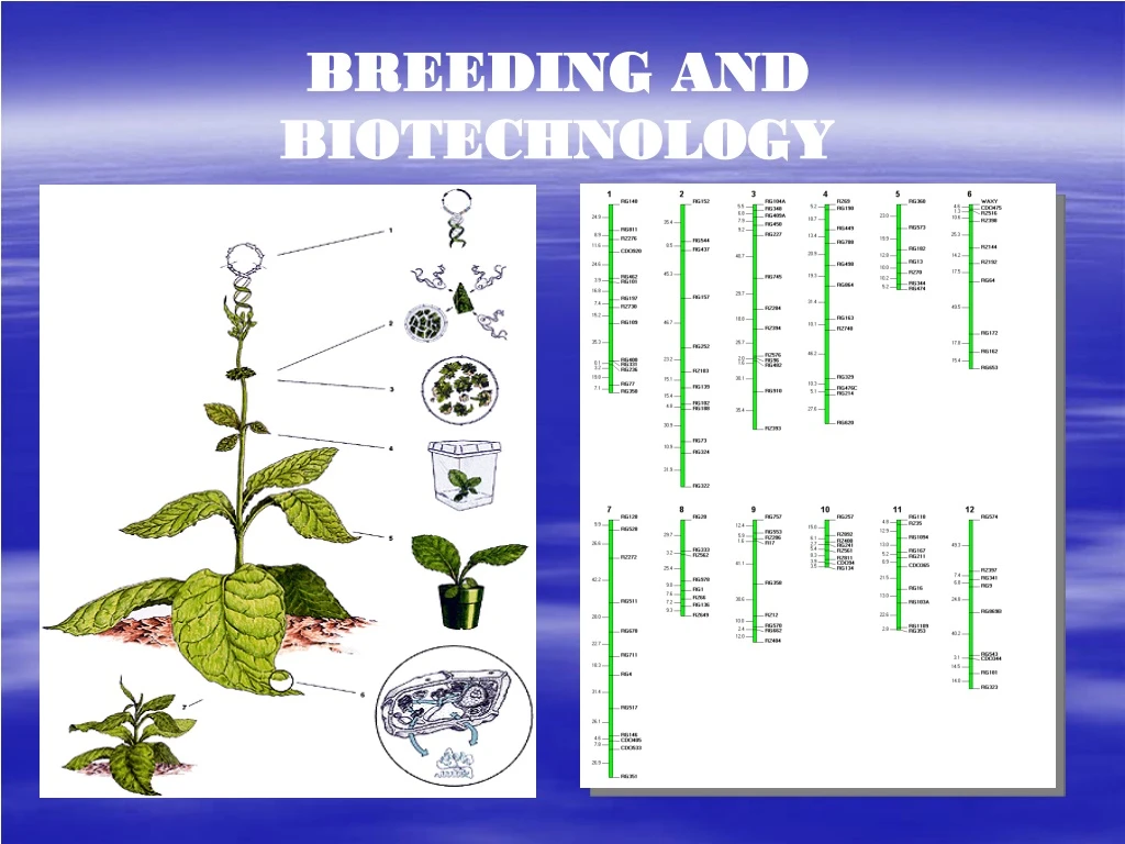 breeding and biotechnology