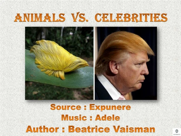 Animals vs. Celebrities Donald Tramp