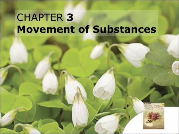 CHAPTER 3 Movement of Substances