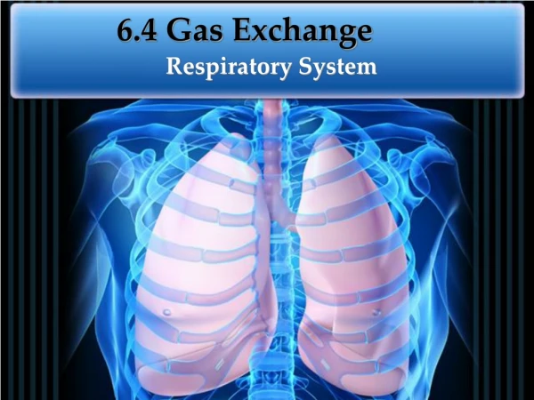 6.4 Gas Exchange