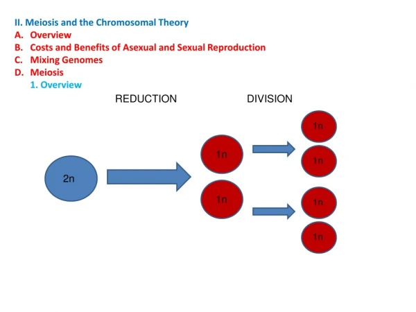 II. Meiosis and the Chromosomal Theory Overview