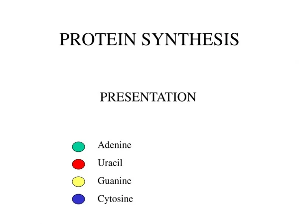 PROTEIN SYNTHESIS