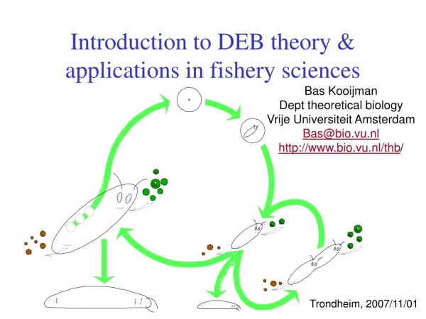 Introduction to DEB theory &amp; applications in fishery sciences