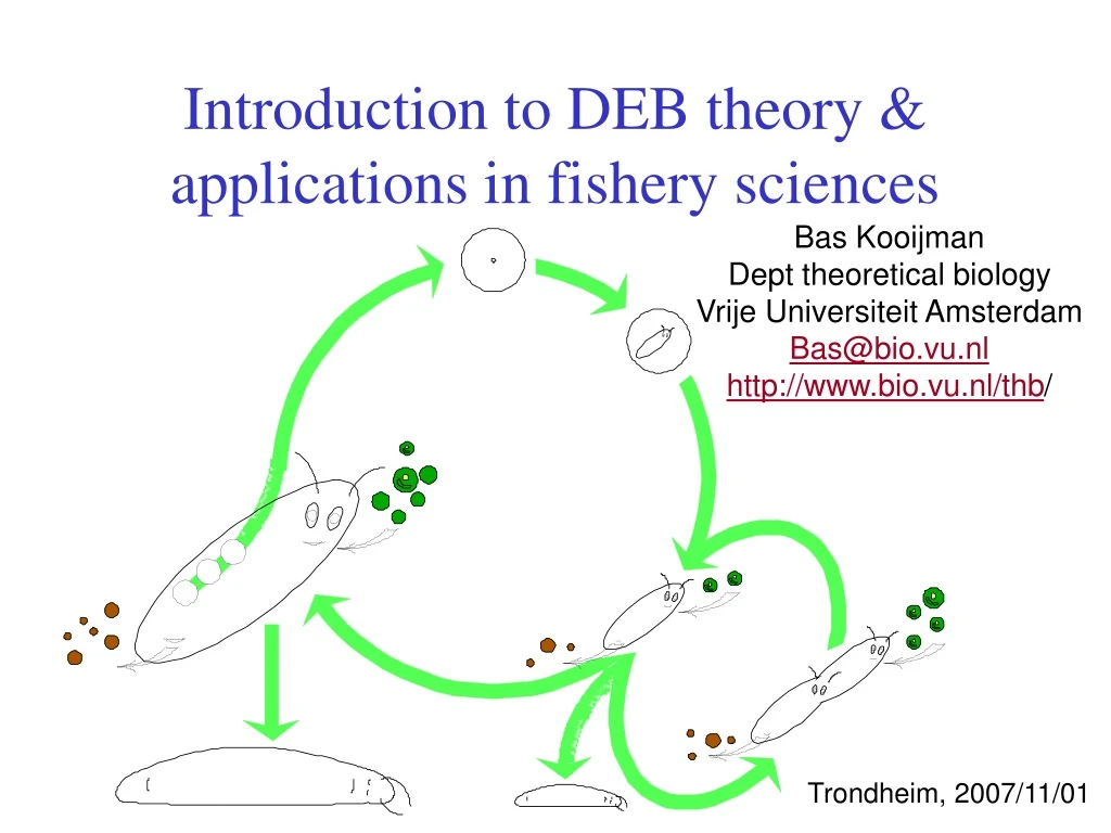 introduction to deb theory applications in fishery sciences