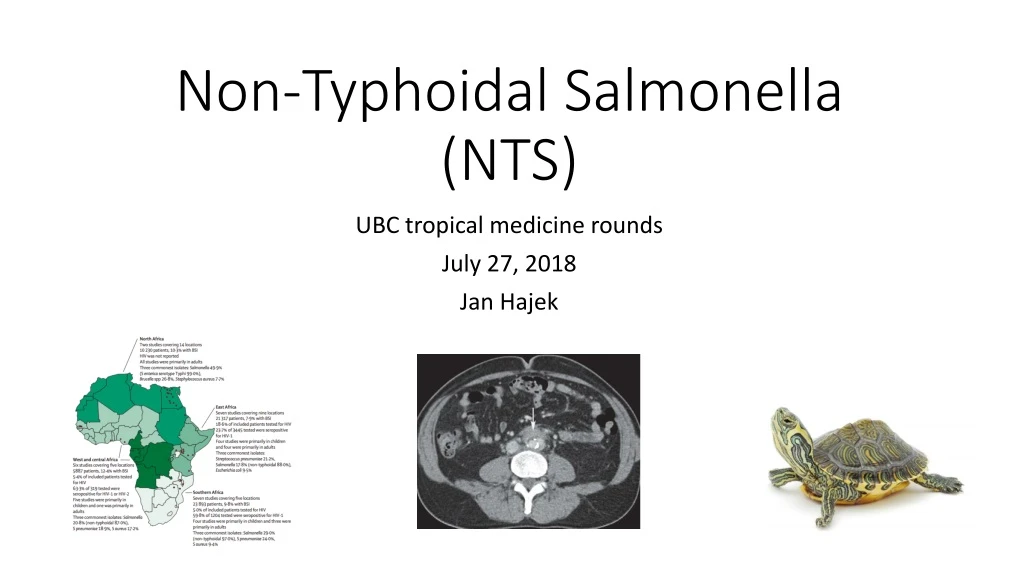 non typhoidal salmonella nts