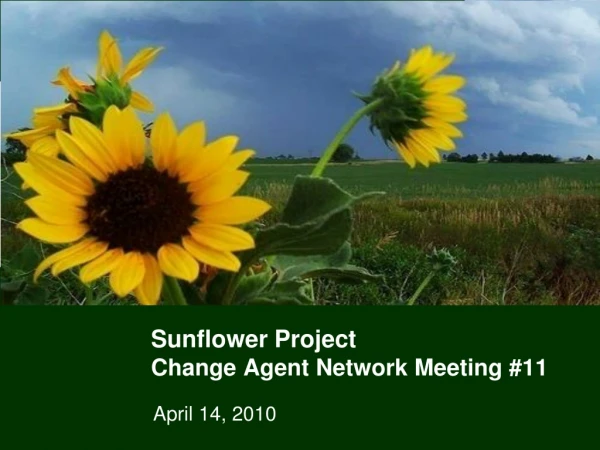 Sunflower Project Change Agent Network Meeting #11