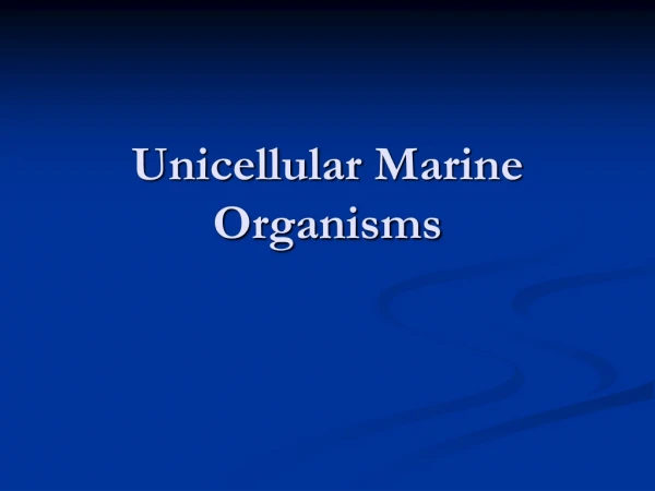 Unicellular Marine Organisms