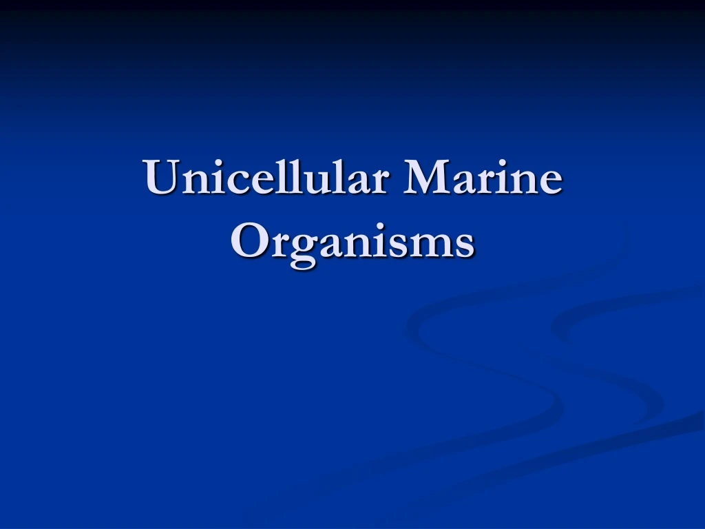 unicellular marine organisms